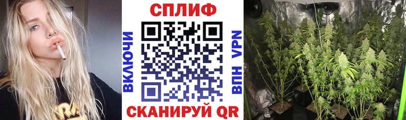 Марихуана сатива купить наркотик Фёдоровский